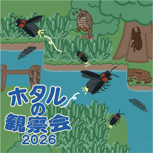 【ホタルの観察会2026】2026年6月12日開始、中里郷土の森緑地で申し込む前に確認したい条件の公式画像