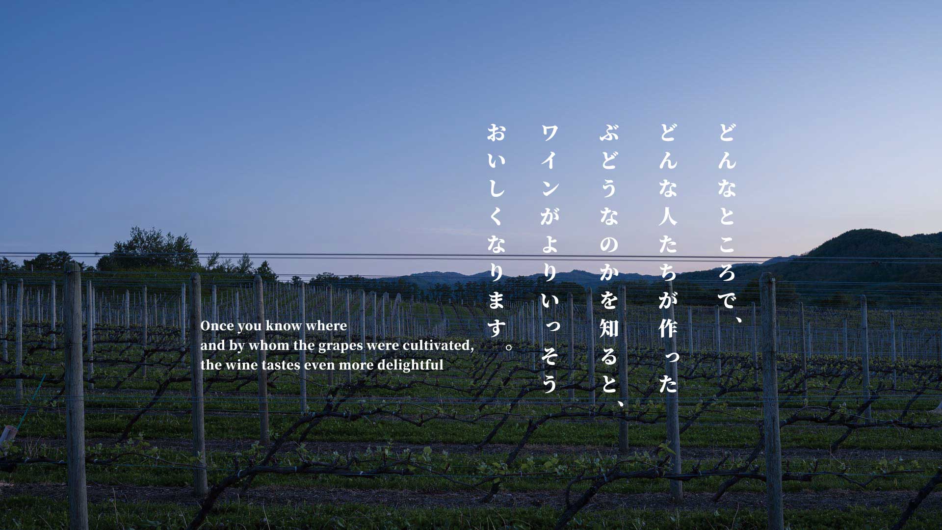 【2026年5月30日】北海道ワイン試飲会 東京開催は午前か午後か 50名定員で選ぶ