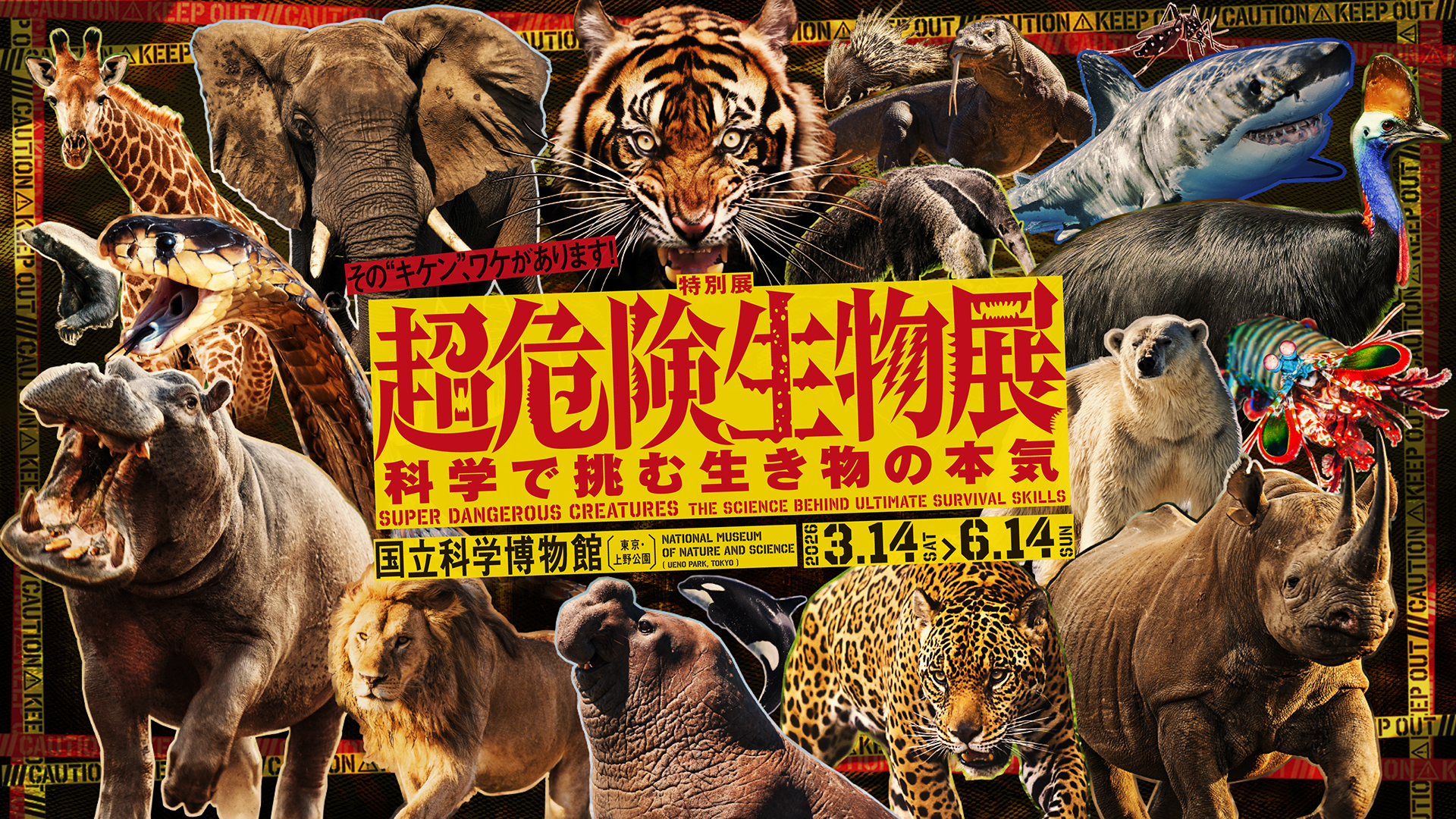 【2026年5月時点】超危険生物展は日時予約が必要？ 再入場なしで見る順番を先に決めるの公式画像
