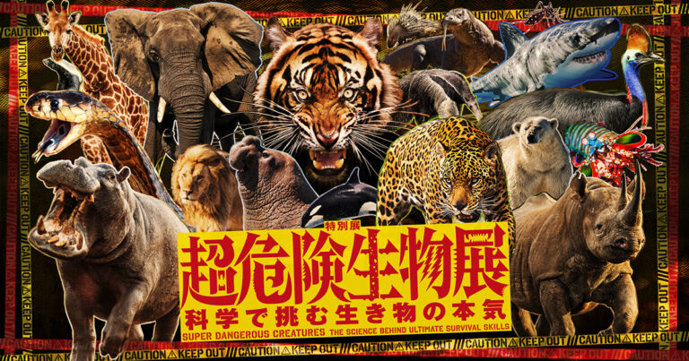 【2026年5月時点】超危険生物展は日時予約が必要？ 再入場なしで見る順番を先に決める