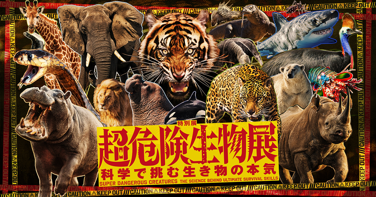 【2026年5月時点】超危険生物展は日時予約が必要？ 再入場なしで見る順番を先に決める